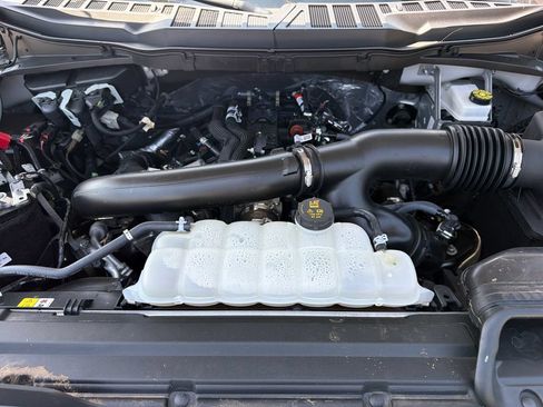 Used 2025 Ford F150 XLT w/ Equipment Group 301A Standard AWD/4WD image 19