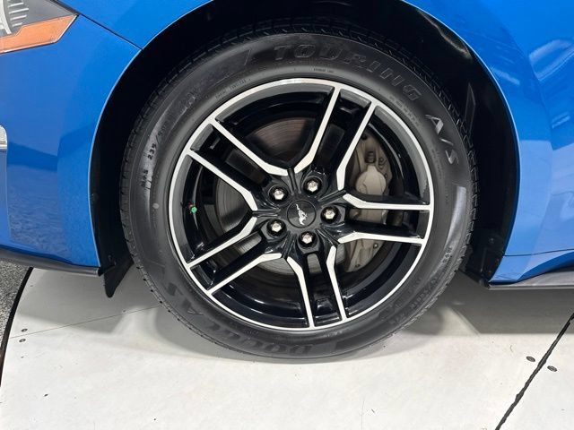Used 2021 Ford Mustang GT RWD image 4