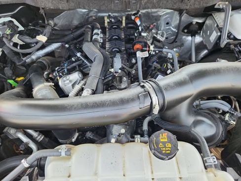 Used 2025 Ford F150 XLT w/ Equipment Group 301A Standard AWD/4WD image 15