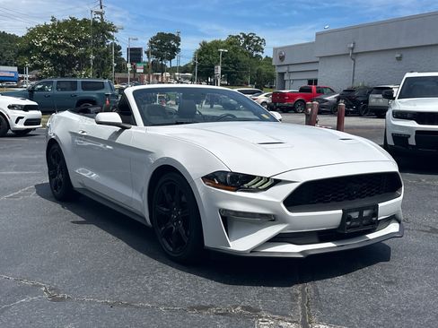 Used 2019 Ford Mustang Convertible w/ Equipment Group 101A RWD image 2