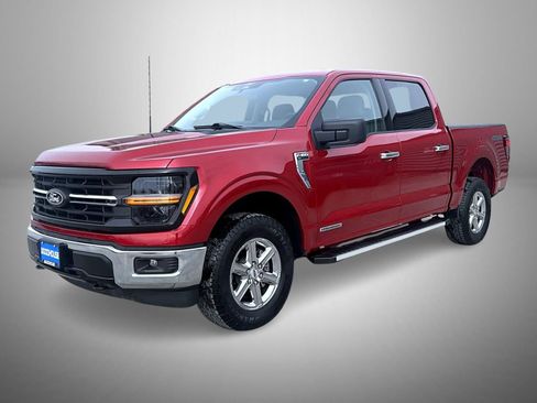 Used 2025 Ford F150 XLT w/ Equipment Group 301A Standard image 1