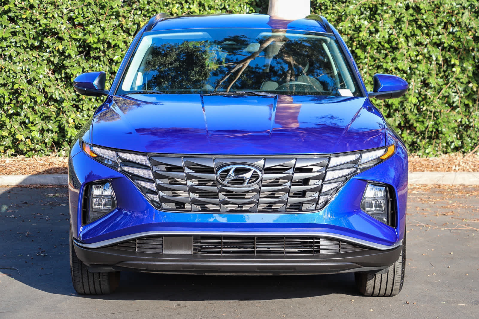 Certified 2024 Hyundai Tucson SEL FWD image 2