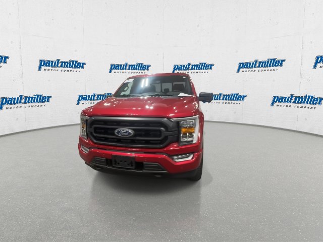 Used 2021 Ford F150 XLT w/ Equipment Group 302A High AWD/4WD image 4