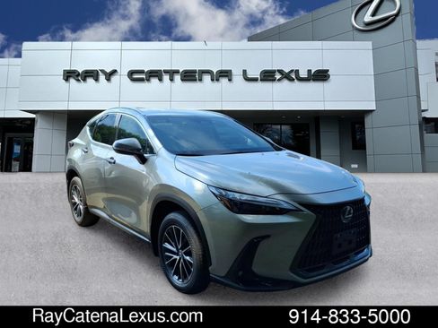 Certified 2024 Lexus NX 350 AWD w/ Cold Area Package image 3