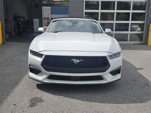 Used 2024 Ford Mustang Premium RWD image 14