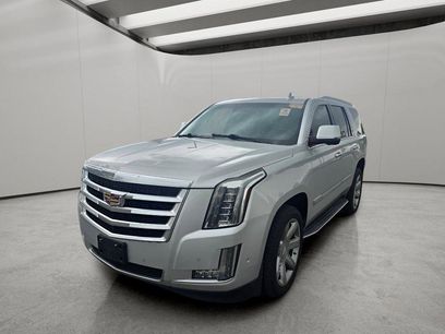 Used 2019 Cadillac Escalade Luxury