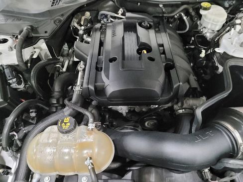 Used 2019 Ford Mustang Premium w/ Equipment Group 201A RWD image 30