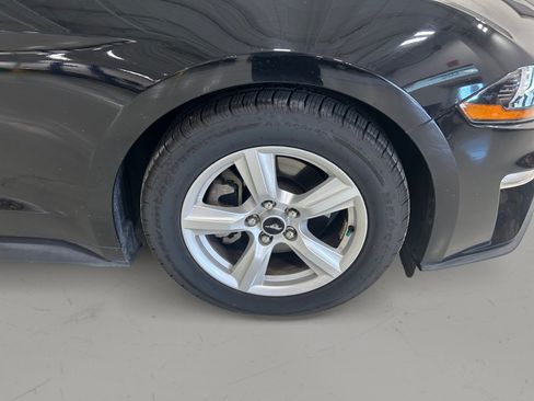 Used 2019 Ford Mustang Coupe RWD image 9