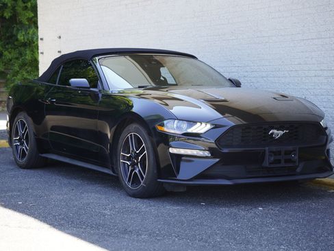 Used 2023 Ford Mustang Premium w/ Equipment Group 201A RWD image 15