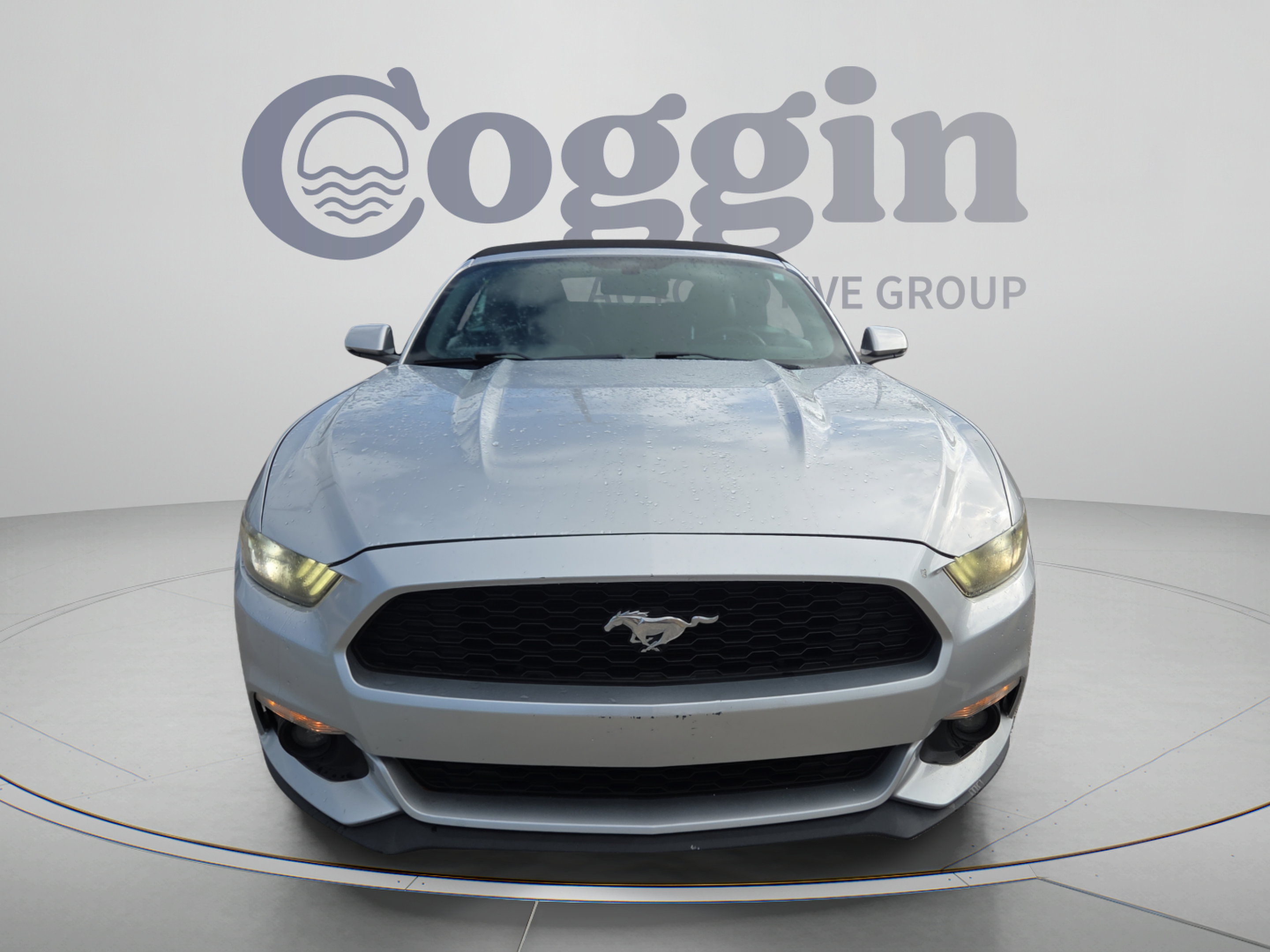 Used 2016 Ford Mustang Premium RWD image 8
