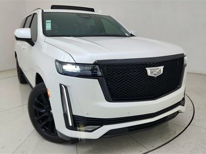 Used 2023 Cadillac Escalade ESV Sport Platinum w/ LPO, ONYX Package