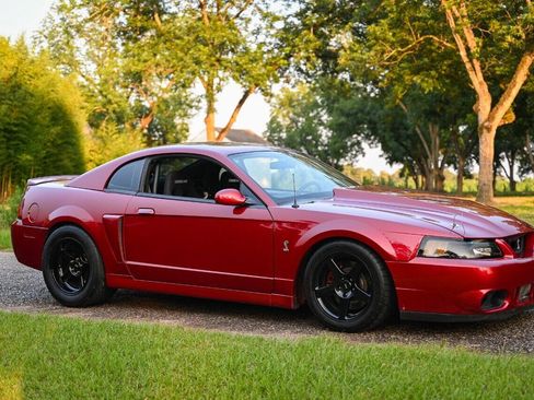 Used 2003 Ford Mustang Cobra RWD image 51