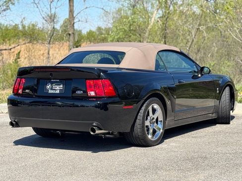 Used 2003 Ford Mustang Cobra RWD image 6