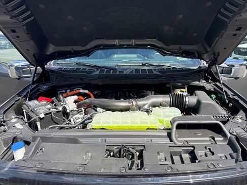 New 2025 Ford F150 XLT w/ Equipment Group 302A MID image 24