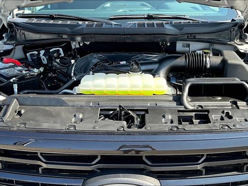 Used 2025 Ford F150 XLT w/ Equipment Group 302A MID AWD/4WD image 9
