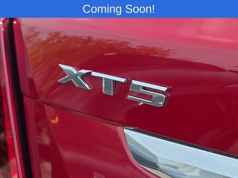 Used 2025 Cadillac XT5 Premium Luxury AWD/4WD image 12