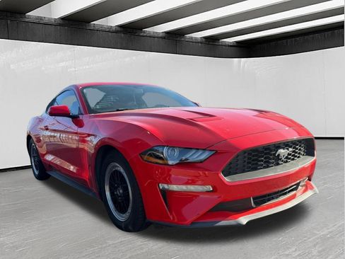 Used 2019 Ford Mustang Coupe RWD image 5
