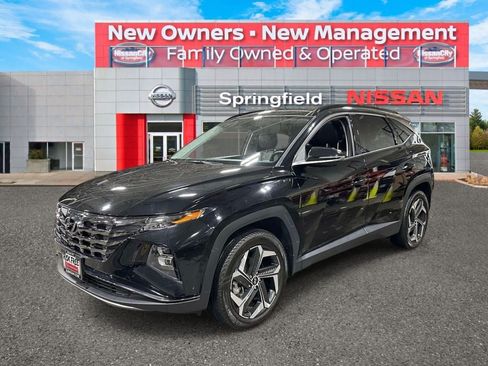 Used 2024 Hyundai Tucson Limited AWD/4WD image 7