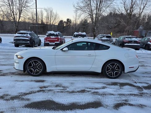 Used 2022 Ford Mustang Premium image 5