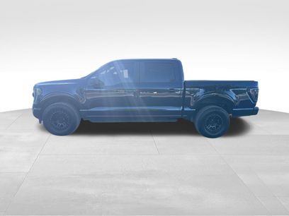 Used 2023 Ford F150 XL w/ STX Appearance Package
