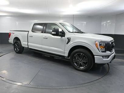 Used 2023 Ford F150 XLT w/ Equipment Group 302A High
