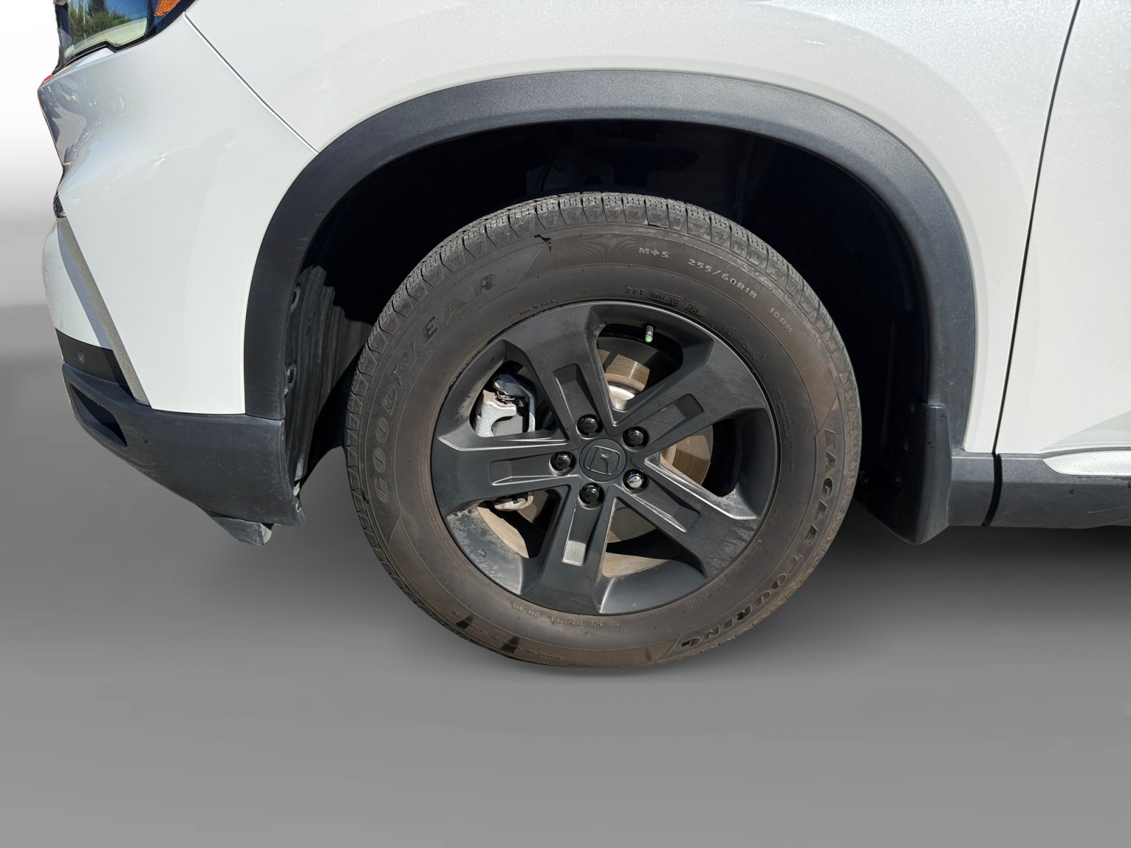 Used 2025 Honda Pilot EX-L image 9