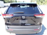 Used 2023 Toyota RAV4 LE image 4