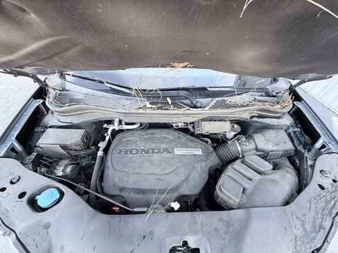 Used 2019 Honda Pilot Elite image 33