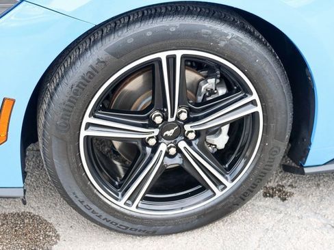 Used 2024 Ford Mustang Premium image 7