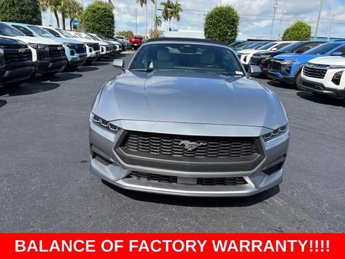 Used 2024 Ford Mustang Premium RWD image 2