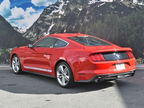 Used 2020 Ford Mustang Premium w/ Equipment Group 201A image 9