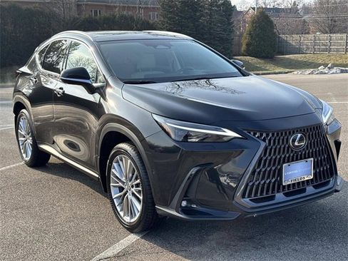 Certified 2025 Lexus NX 350 AWD w/ Luxury Package image 3