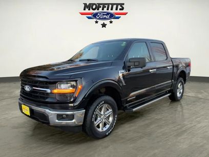 Used 2024 Ford F150 XLT w/ Mobile Office Package