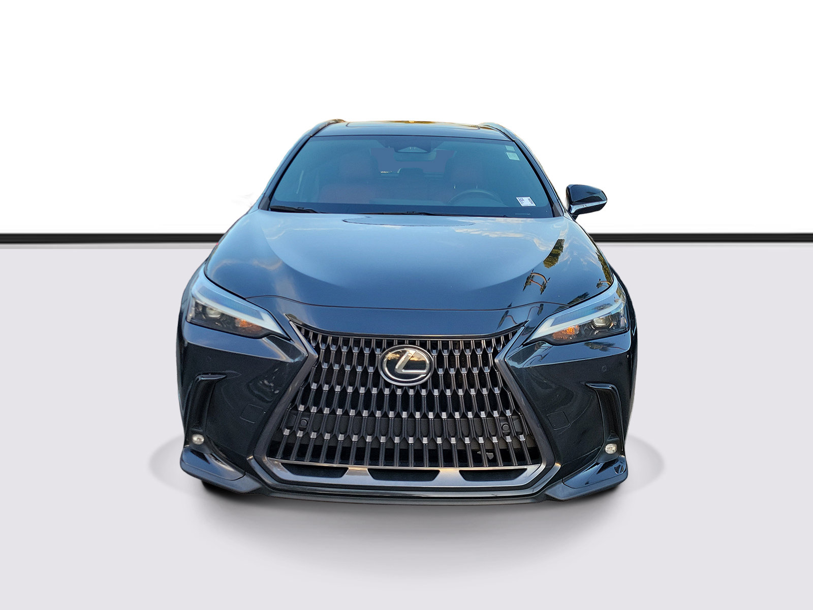 Used 2025 Lexus NX 250 FWD w/ Cold Area Package image 2
