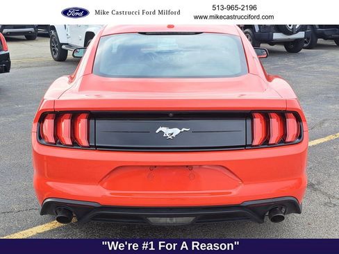 Certified 2019 Ford Mustang Coupe image 4