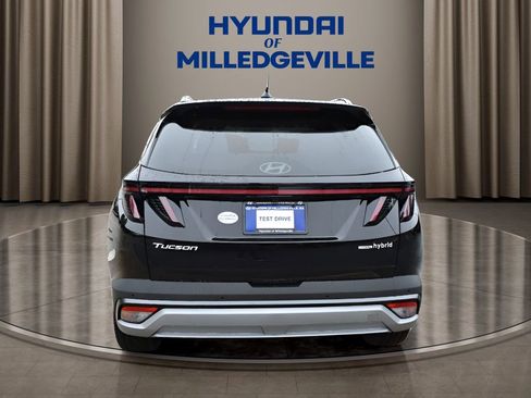 New 2025 Hyundai Tucson Limited image 3