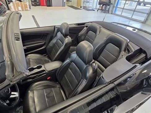 Used 2019 Ford Mustang GT Premium w/ Equipment Group 401A image 38