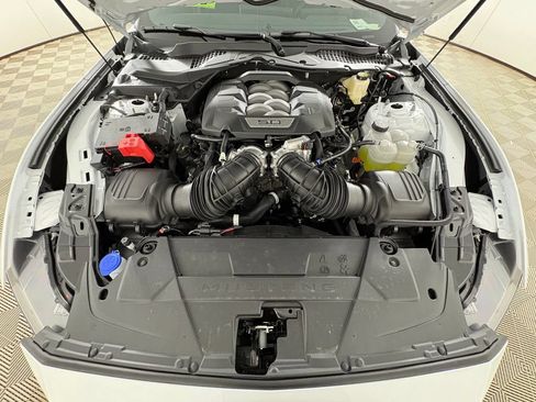 New 2026 Ford Mustang GT w/ Mustang Nite Pony Package RWD image 30