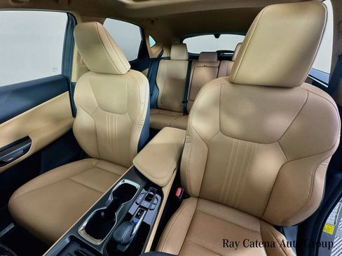 Certified 2025 Lexus NX 350h AWD w/ Cold Area Package image 22