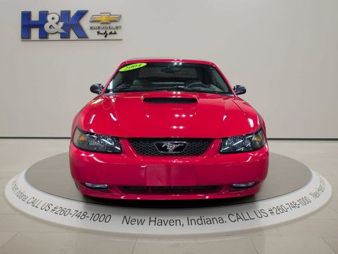 Used 2004 Ford Mustang GT RWD image 2