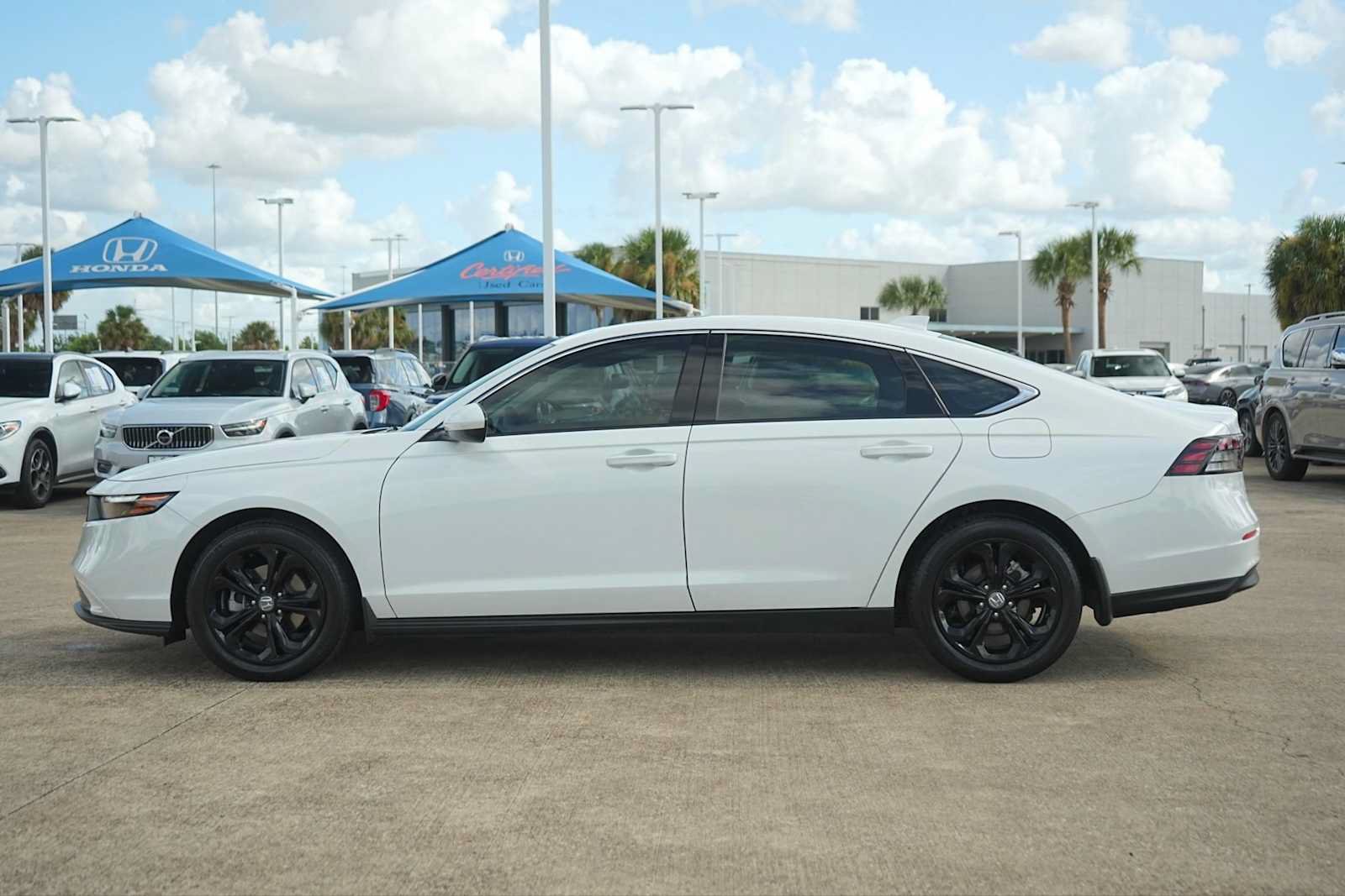Certified 2024 Honda Accord EX image 3