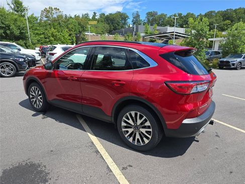 Used 2020 Ford Escape Titanium AWD/4WD image 5