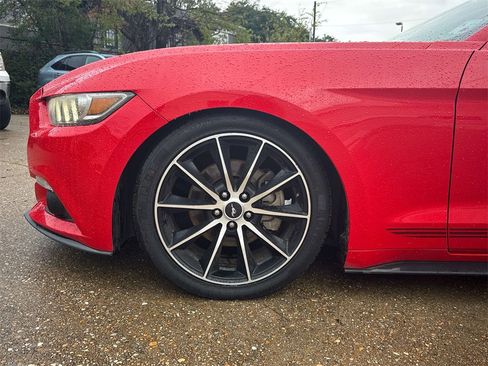 Used 2017 Ford Mustang Premium w/ Wheel & Stripe Package image 5