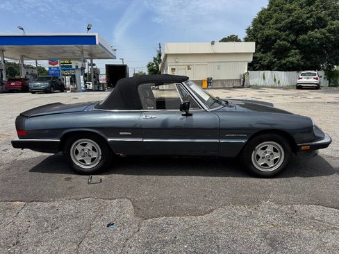Used 1986 Alfa Romeo Spider Veloce image 6