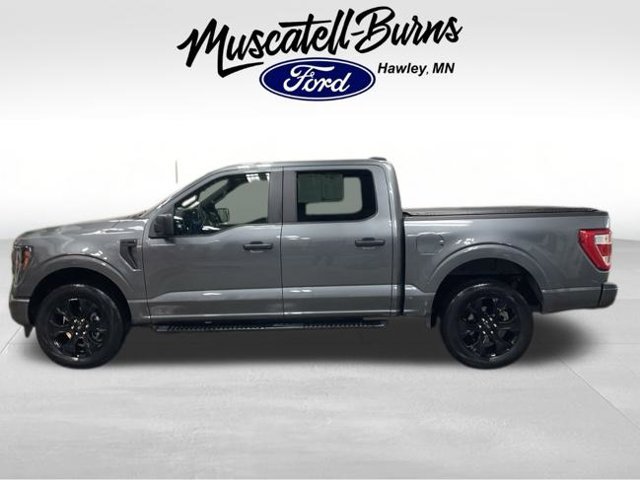 Used 2023 Ford F150 XL w/ STX Black Appearance Package AWD/4WD image 4