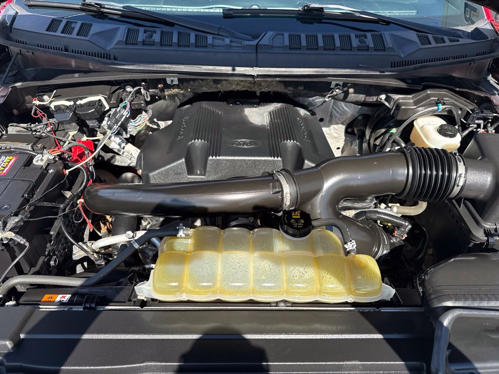 Used 2019 Ford F150 XLT w/ Equipment Group 302A Luxury AWD/4WD image 31