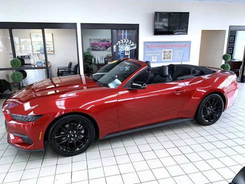Used 2024 Ford Mustang Convertible w/ Mustang Nite Pony Package RWD image 3