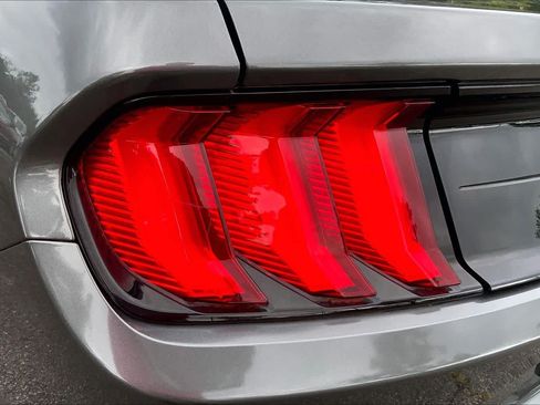 Used 2019 Ford Mustang Premium w/ Equipment Group 201A RWD image 24