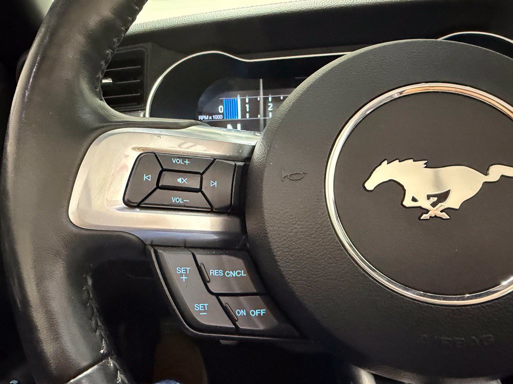 Used 2019 Ford Mustang GT Premium w/ California Special Package RWD image 23