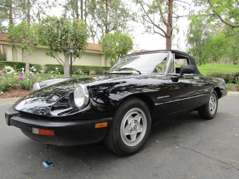 Used 1987 Alfa Romeo Spider Veloce image 1